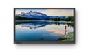 Newline RS+ 65&quot;